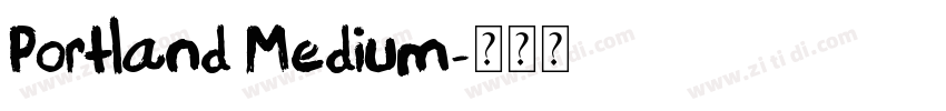 Portland Medium字体转换